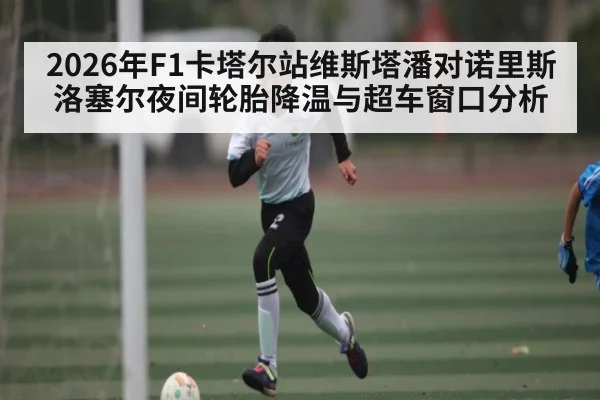 2026年F1卡塔尔站维斯塔潘对诺里斯洛塞尔夜间轮胎降温与超车窗口分析